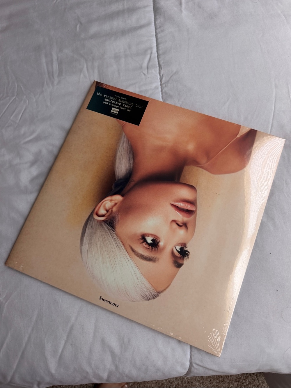 Ariana Grande Beige & Silver Portrait Vinyl Cover